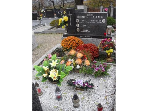 Foto 3